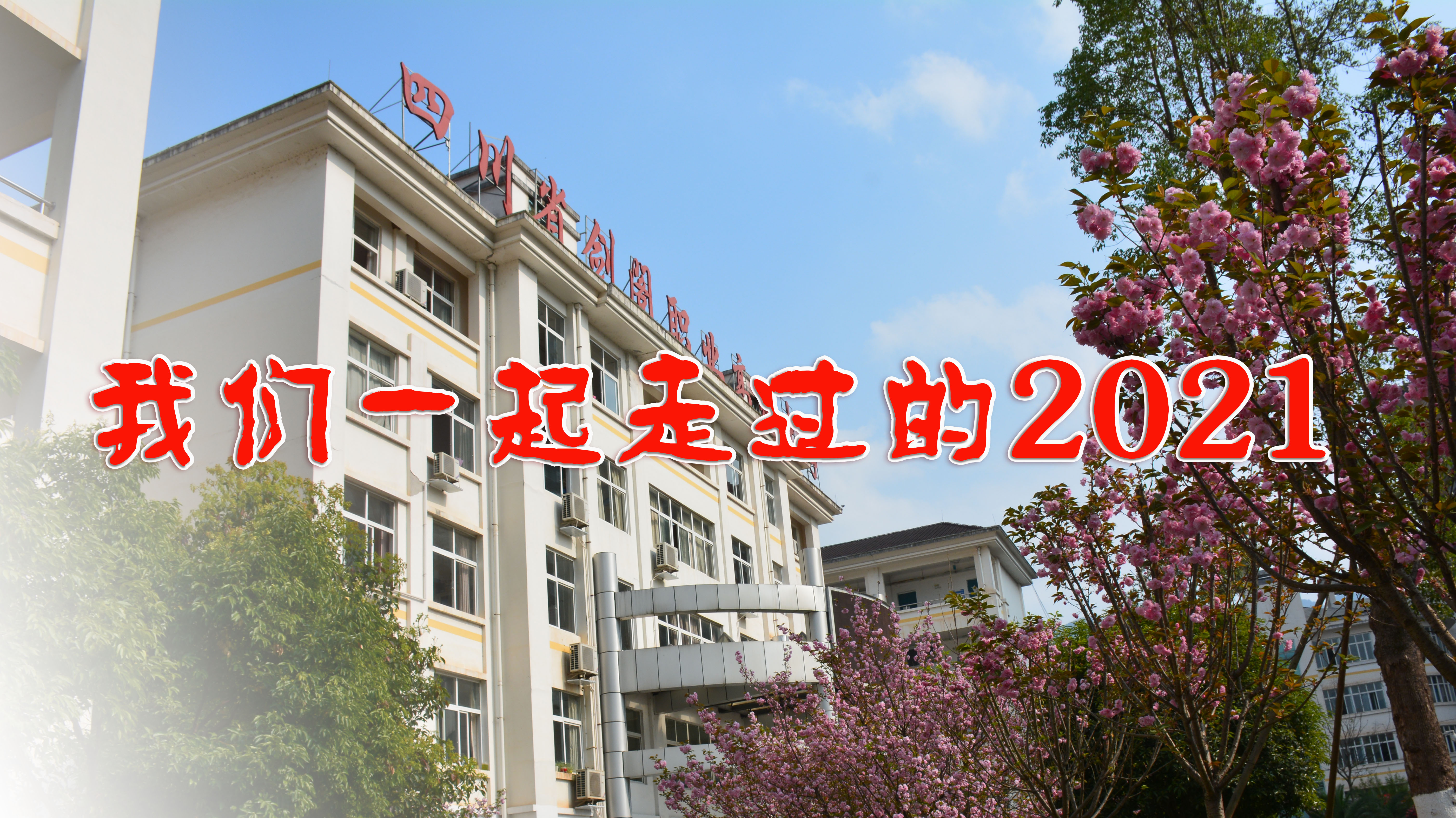 我们一起走过的2021